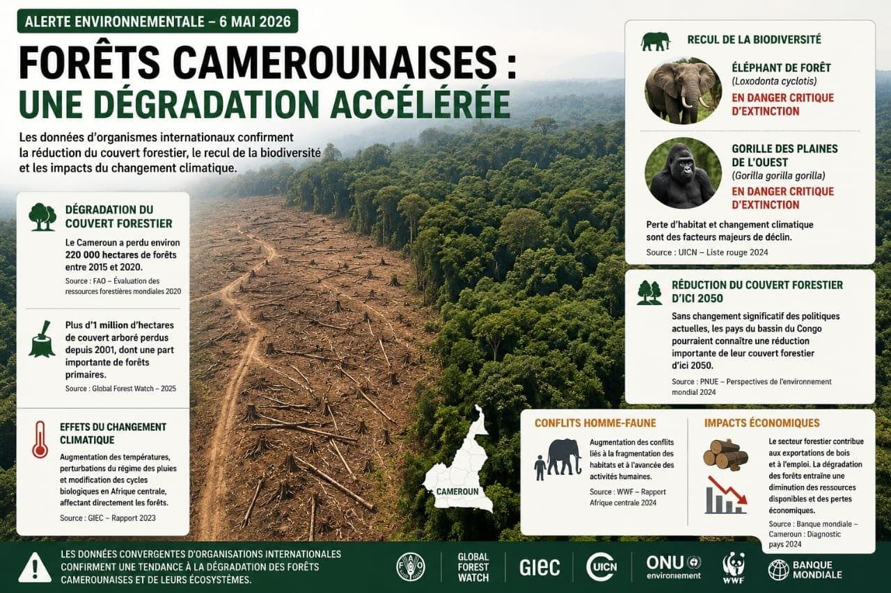 Infographie de l'alerte environnementale du 6 mai 2026 sur les forêts camerounaises